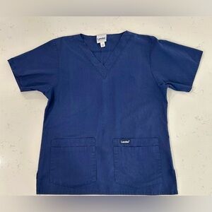 Landau Scrub Top